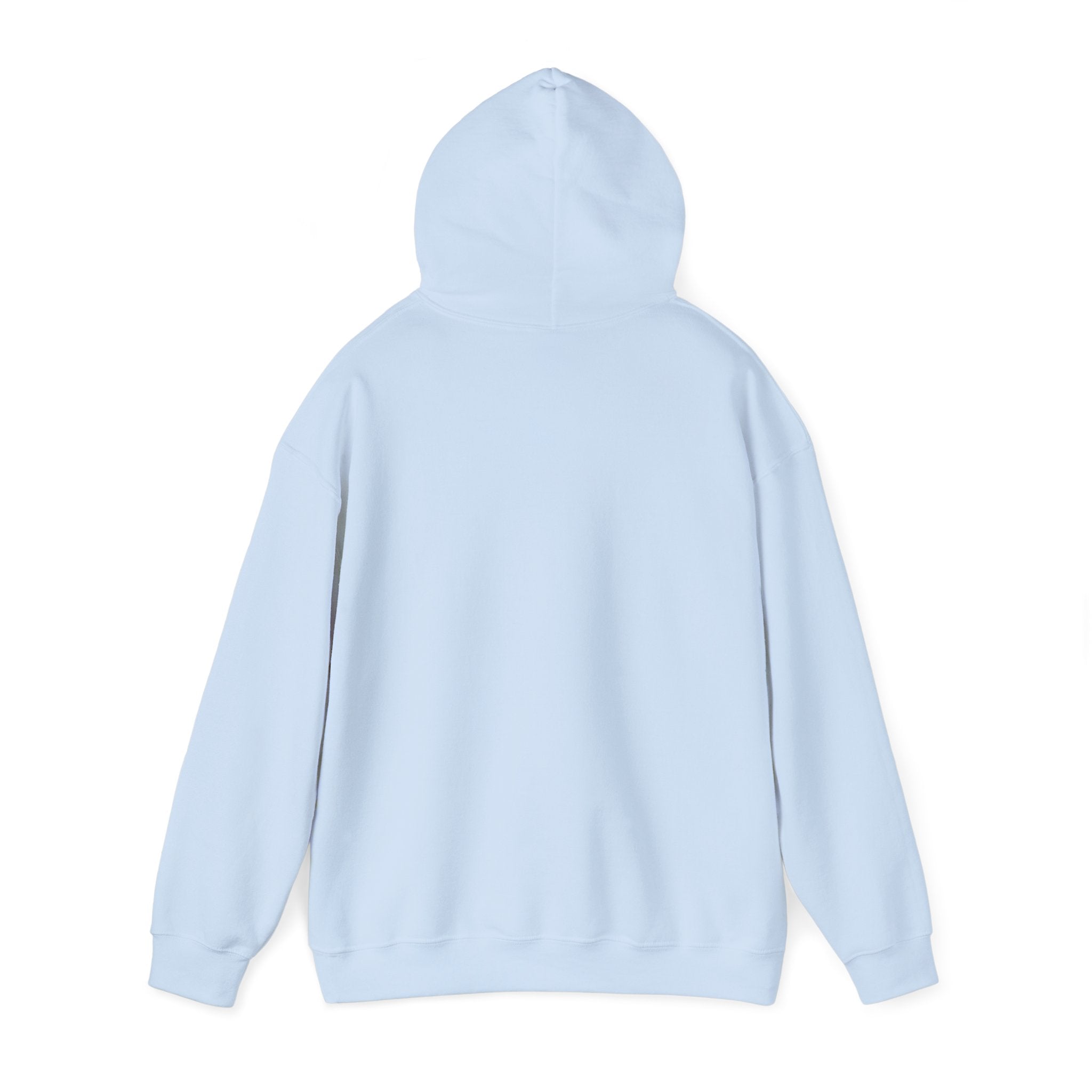 Money Bag Unisex Hooded Sweatshirt - 'I am the Bag' Design